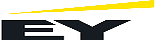 EY Consulting